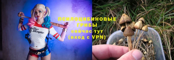 прущий лед Вяземский