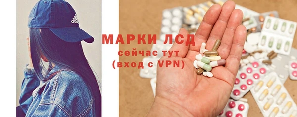 ГАЛЛЮЦИНОГЕННЫЕ ГРИБЫ Вязьма