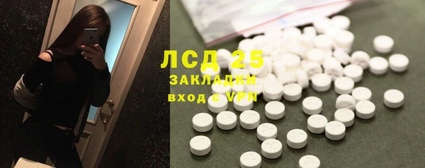 прущий лед Вяземский