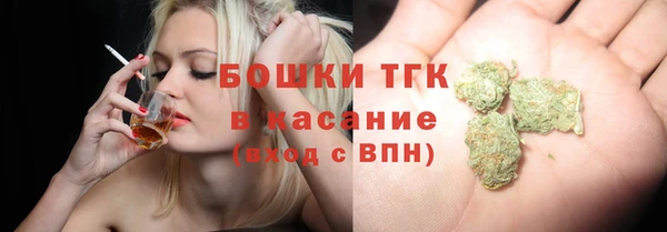 ГАЛЛЮЦИНОГЕННЫЕ ГРИБЫ Вязьма
