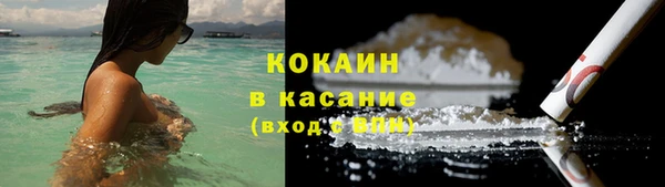 прущий лед Вяземский