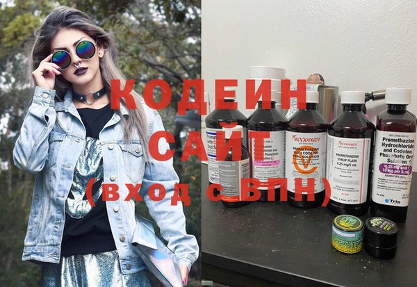 прущий лед Вяземский