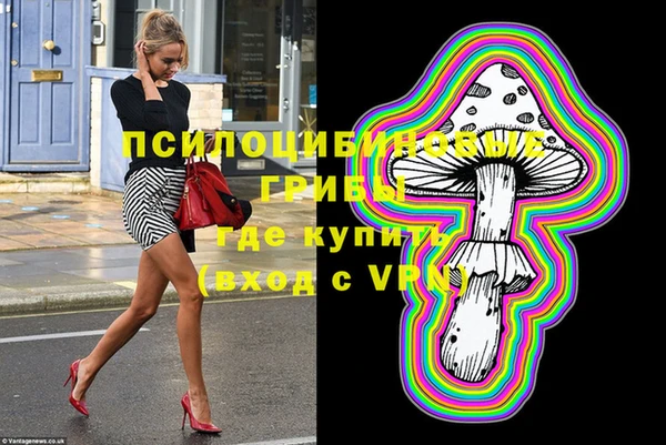 ГАЛЛЮЦИНОГЕННЫЕ ГРИБЫ Вязьма