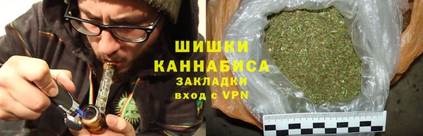 прущий лед Вяземский