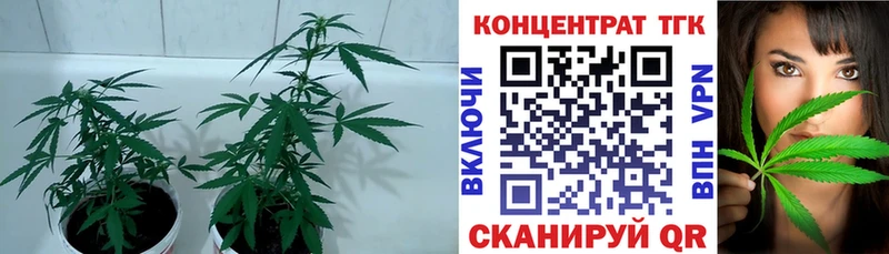 Купить  Павлово  ТГК жижа 