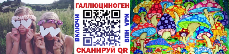 Псилоцибиновые грибы Psilocybine cubensis  Купить закладки  Павлово 